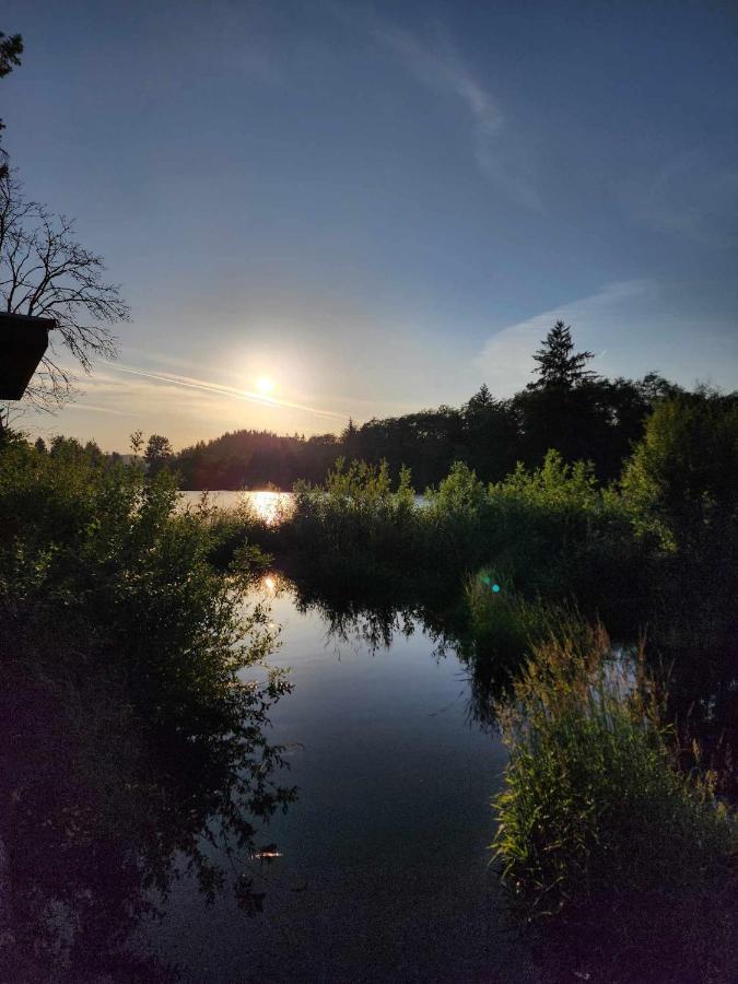 Campbell River Lodge Bagian luar foto