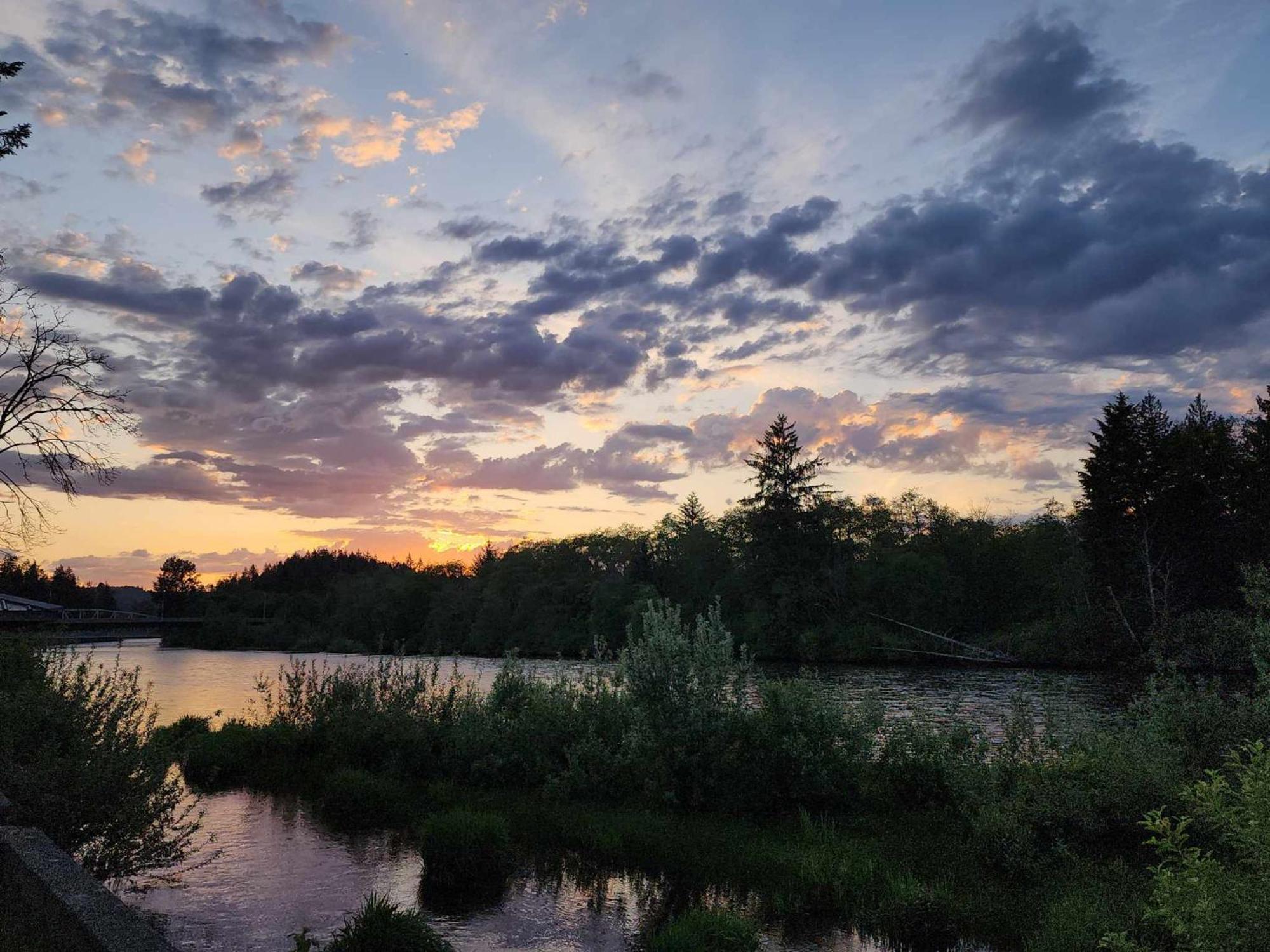 Campbell River Lodge Bagian luar foto